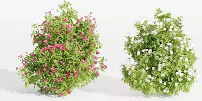 collection flowering bush vol 4-Blender 3D model