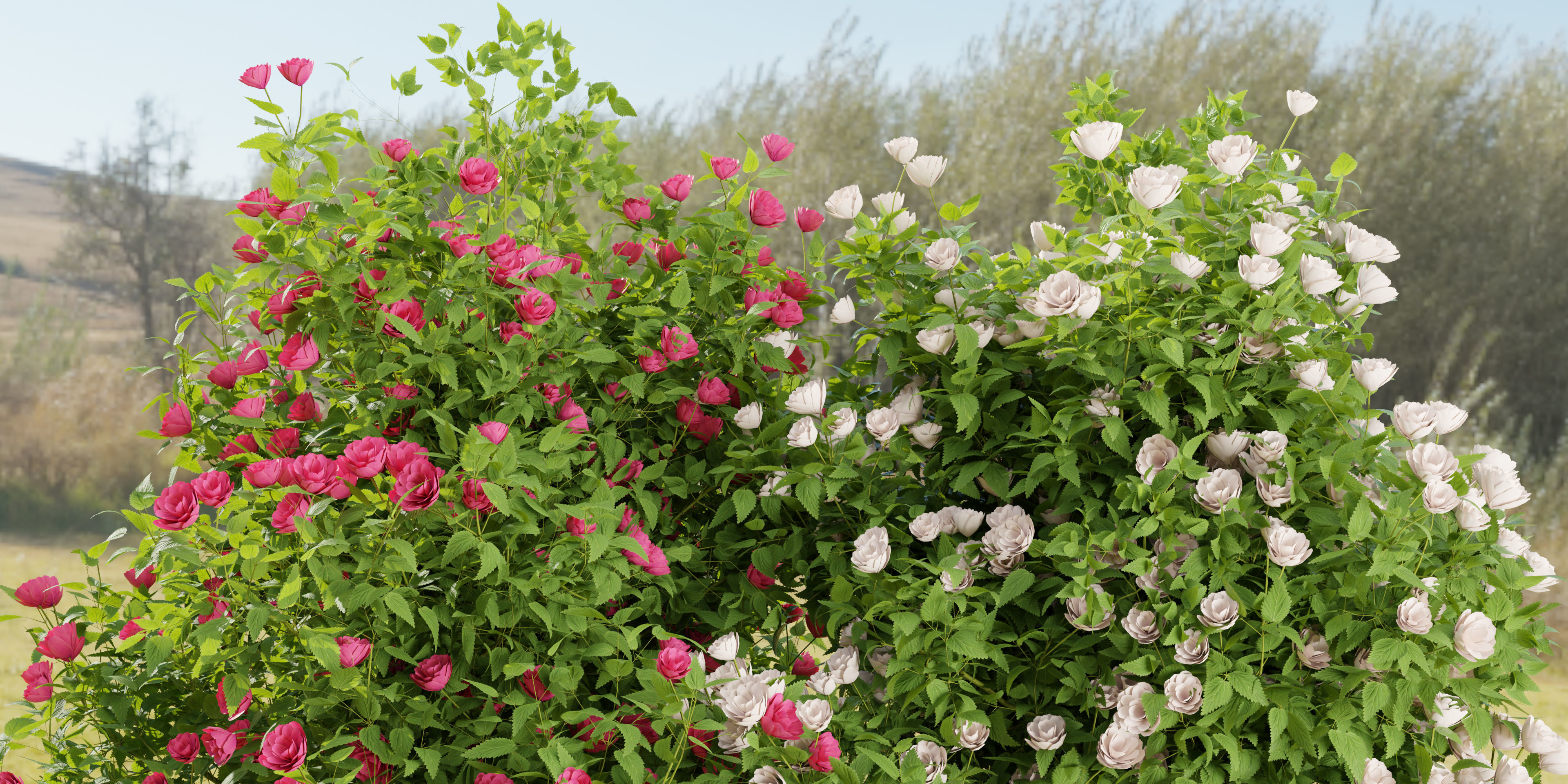 collection flowering bush vol 4-Blender 3D model_1