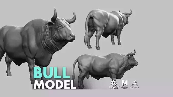 Bull model 3D model