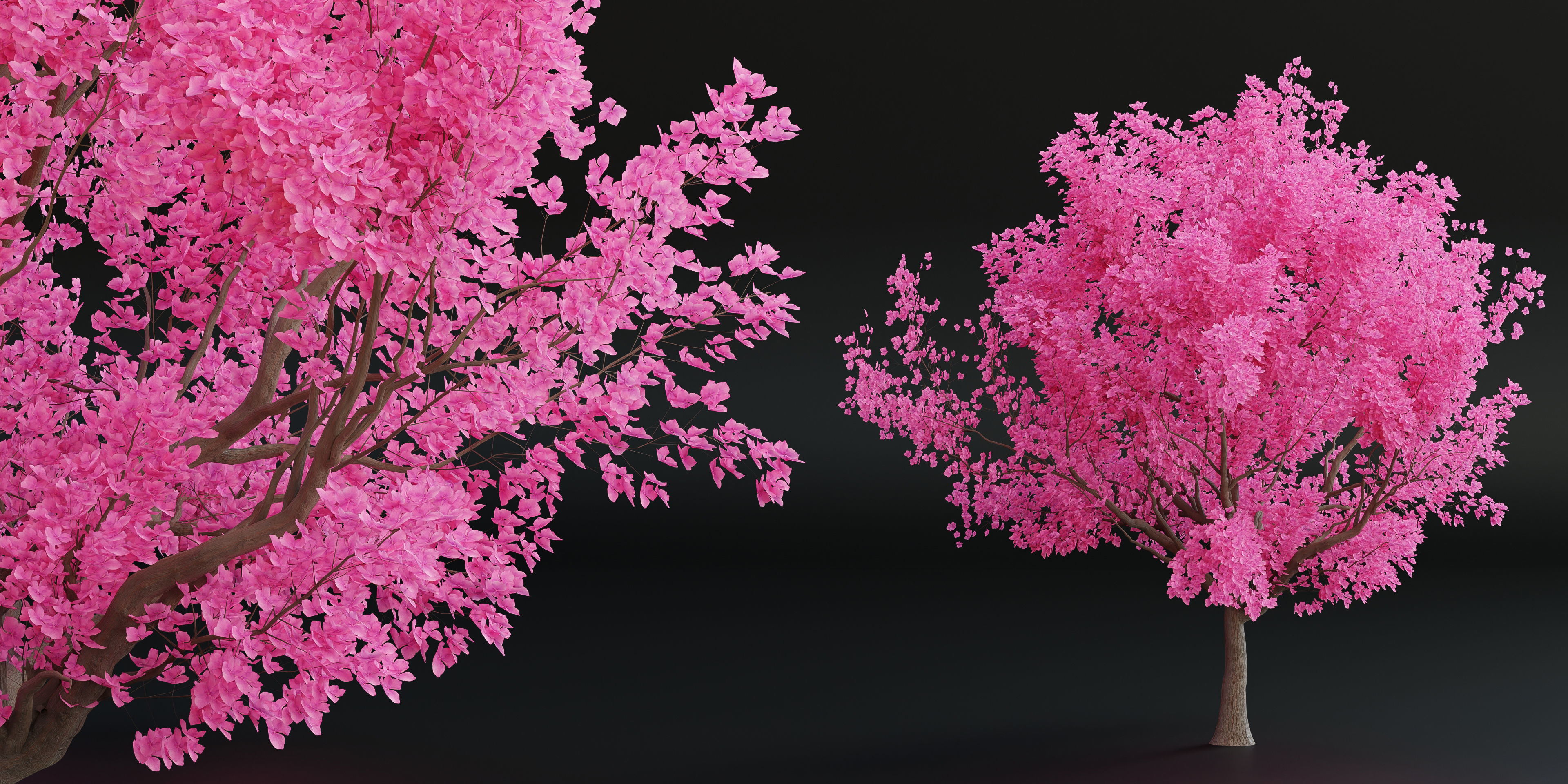 cherry tree vol 5-Blender 3D model_1