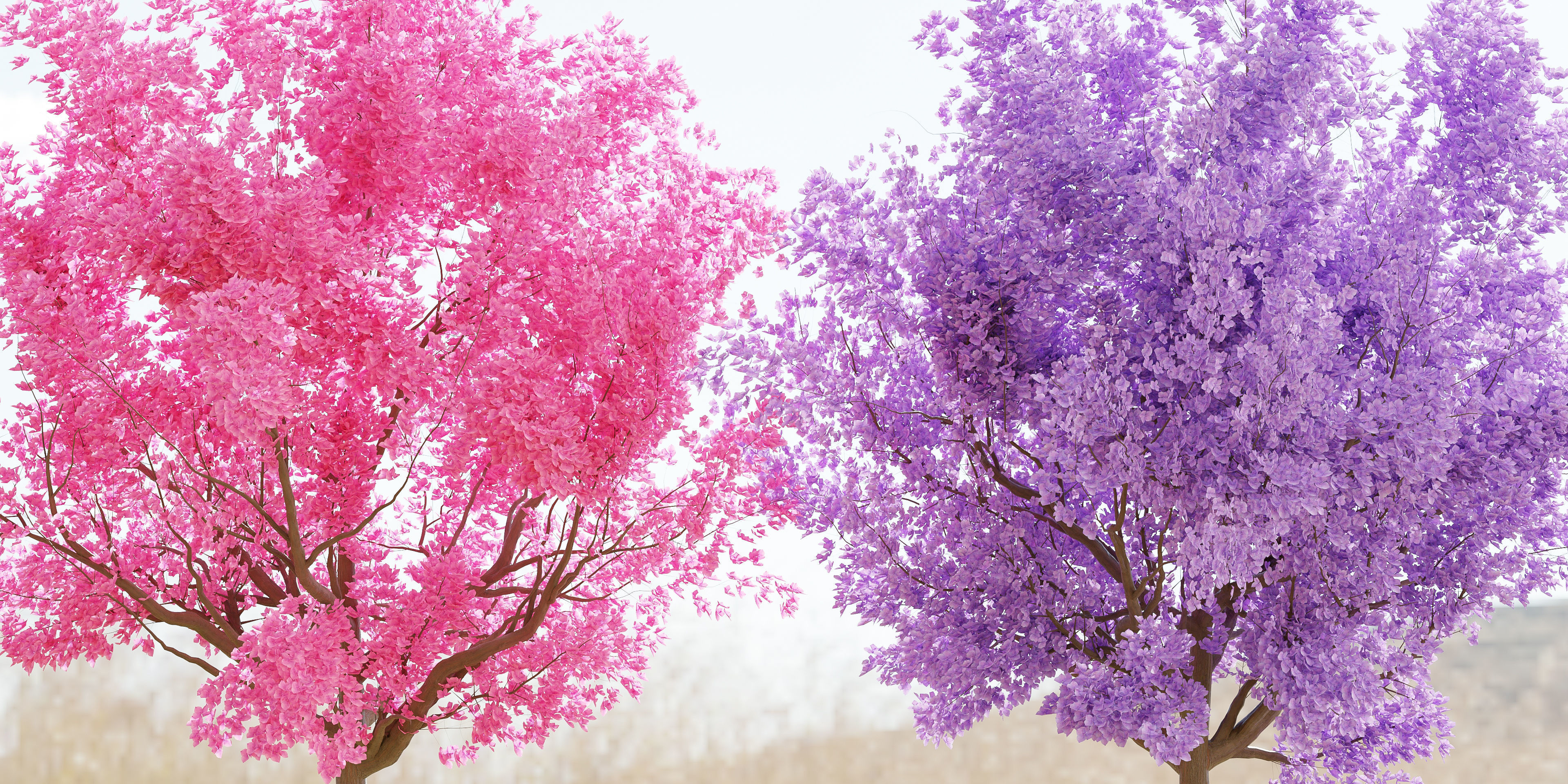 cherry tree vol 5-Blender 3D model_3