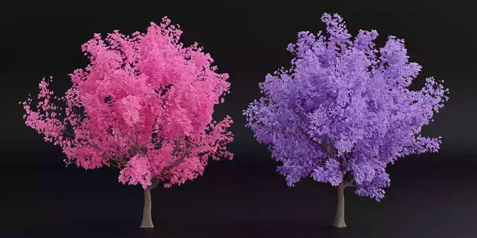 cherry tree vol 5-Blender 3D model