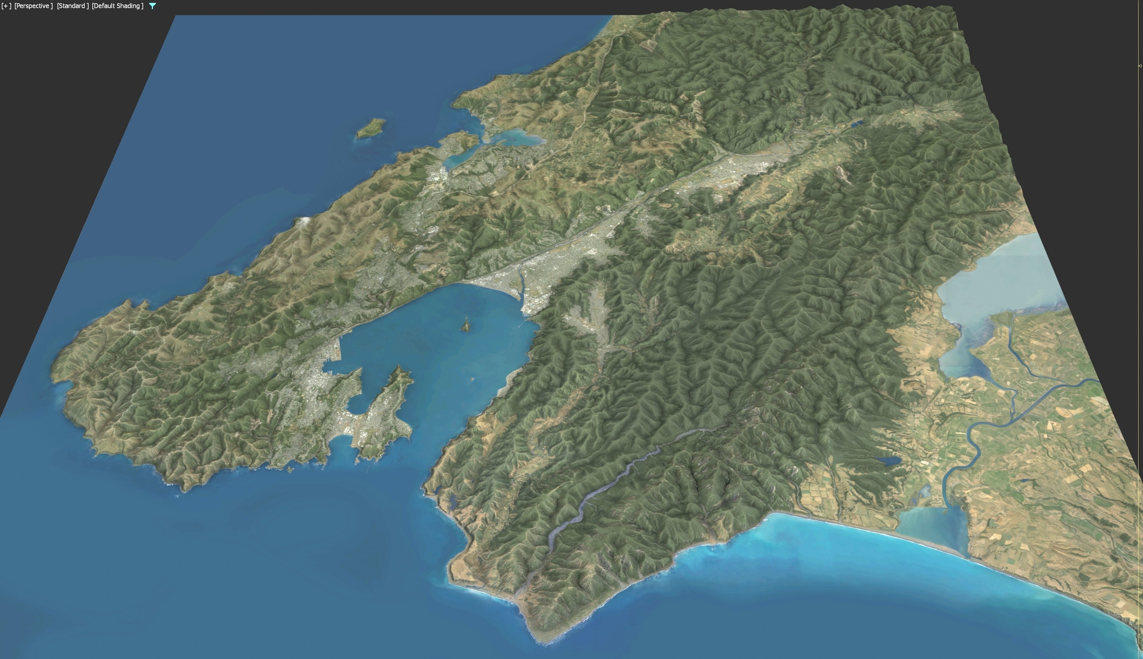 Wellington - 3D Terrain Model Low-poly 3D model_4