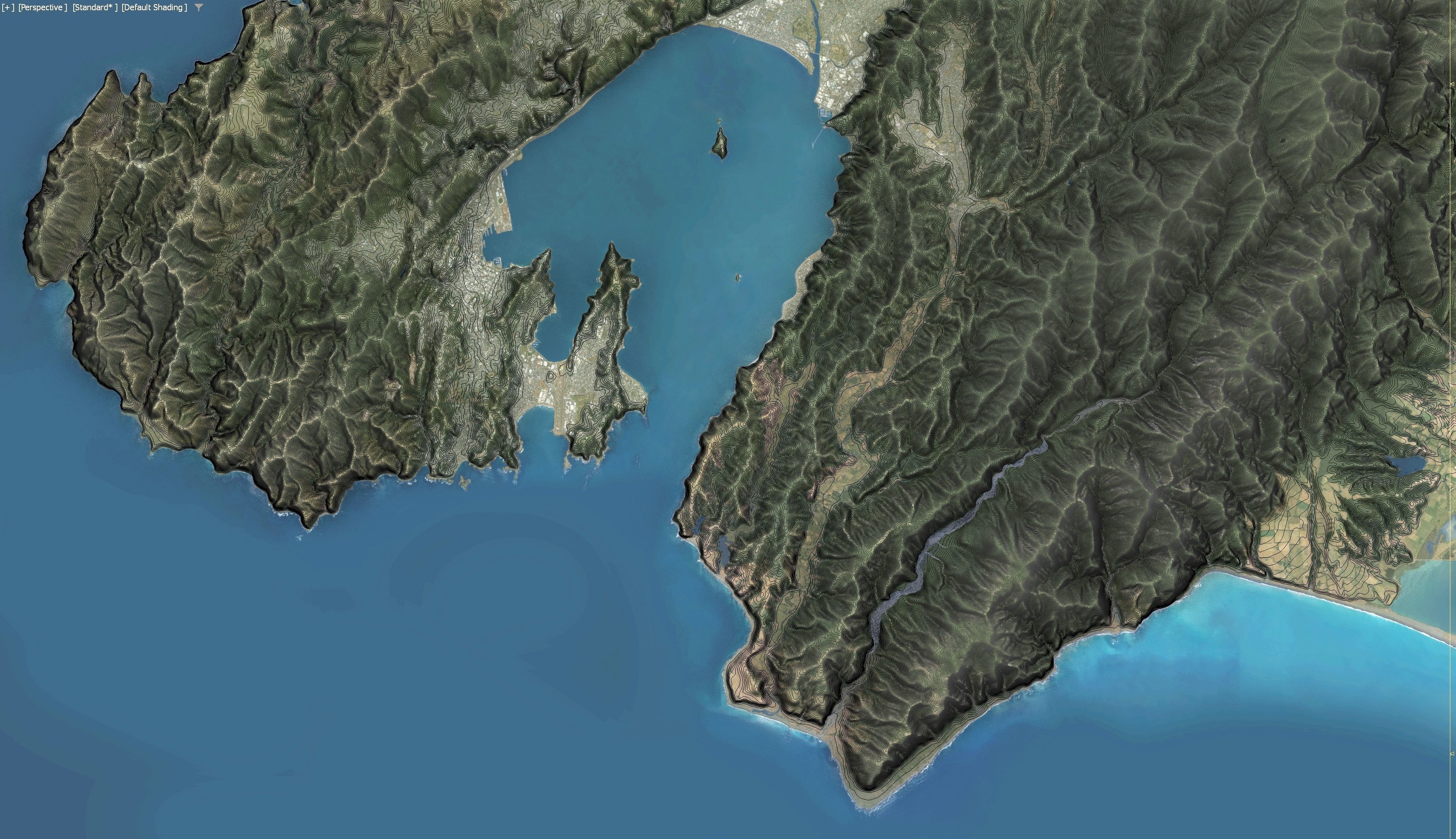 Wellington - 3D Terrain Model Low-poly 3D model_26