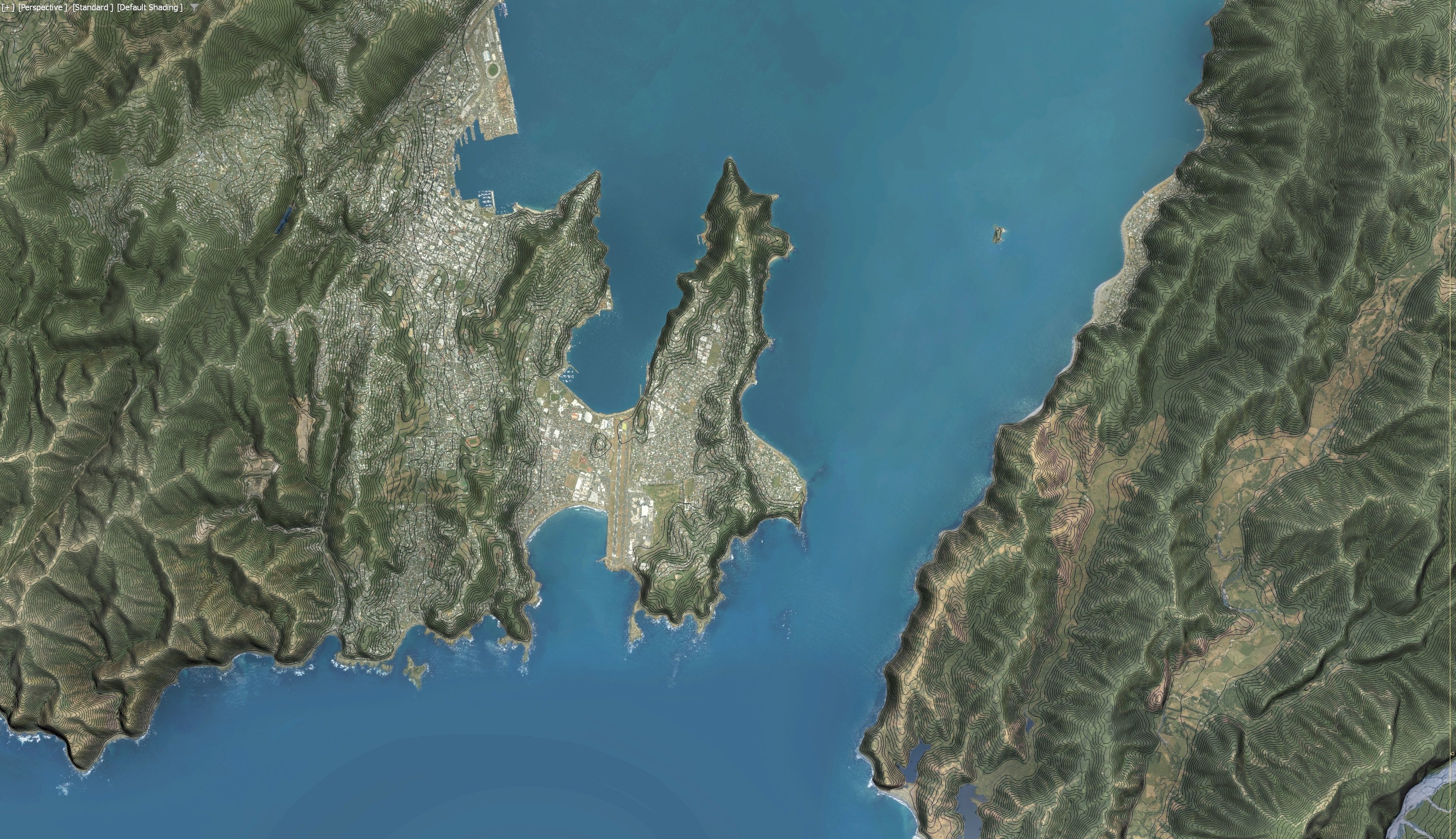 Wellington - 3D Terrain Model Low-poly 3D model_22