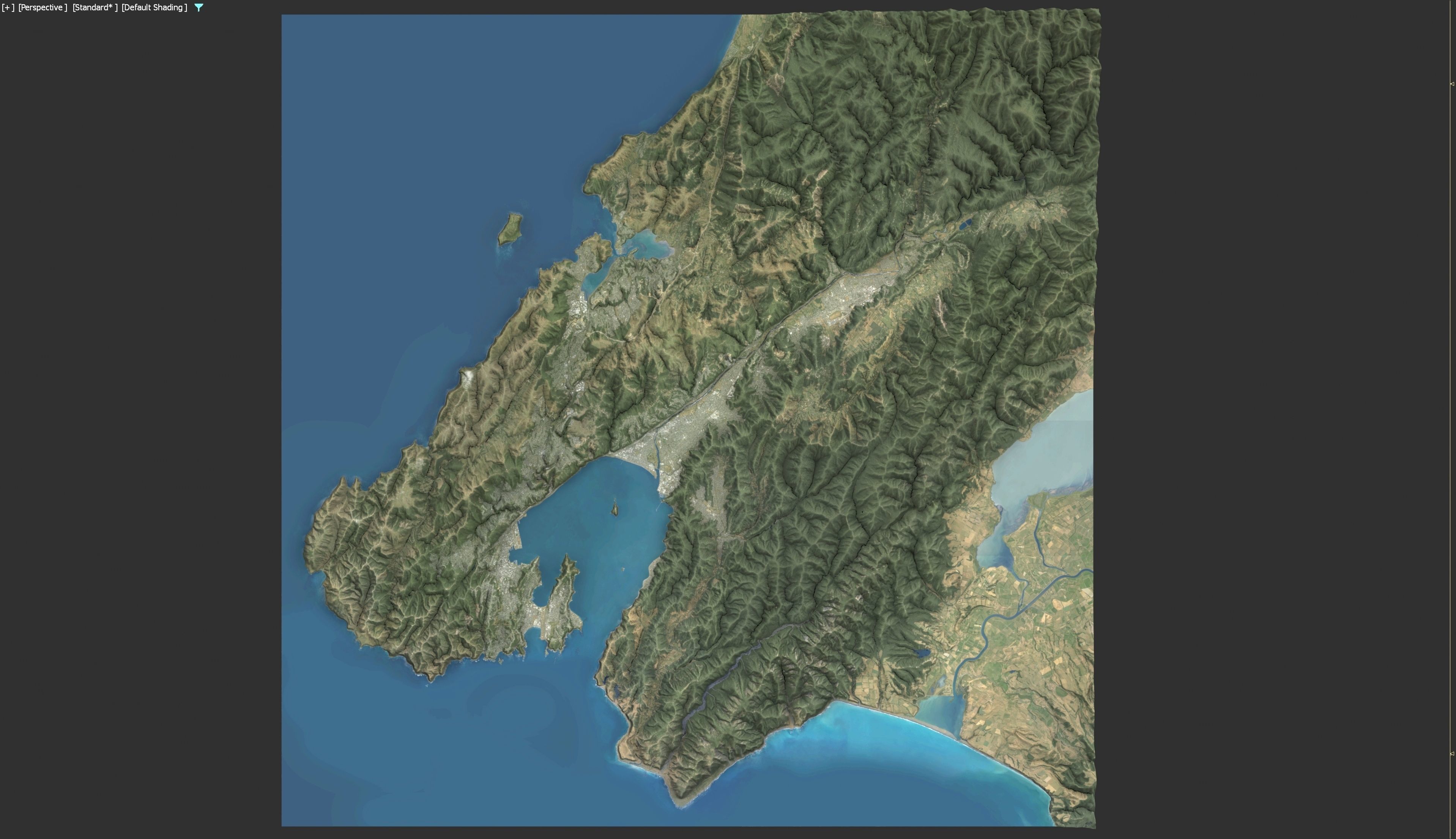 Wellington - 3D Terrain Model Low-poly 3D model_35