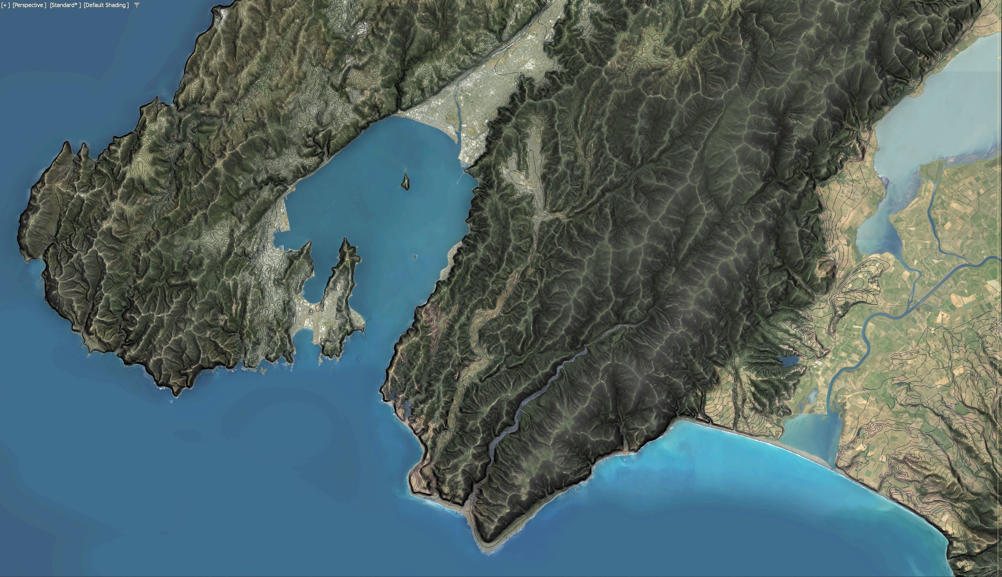 Wellington - 3D Terrain Model Low-poly 3D model_30