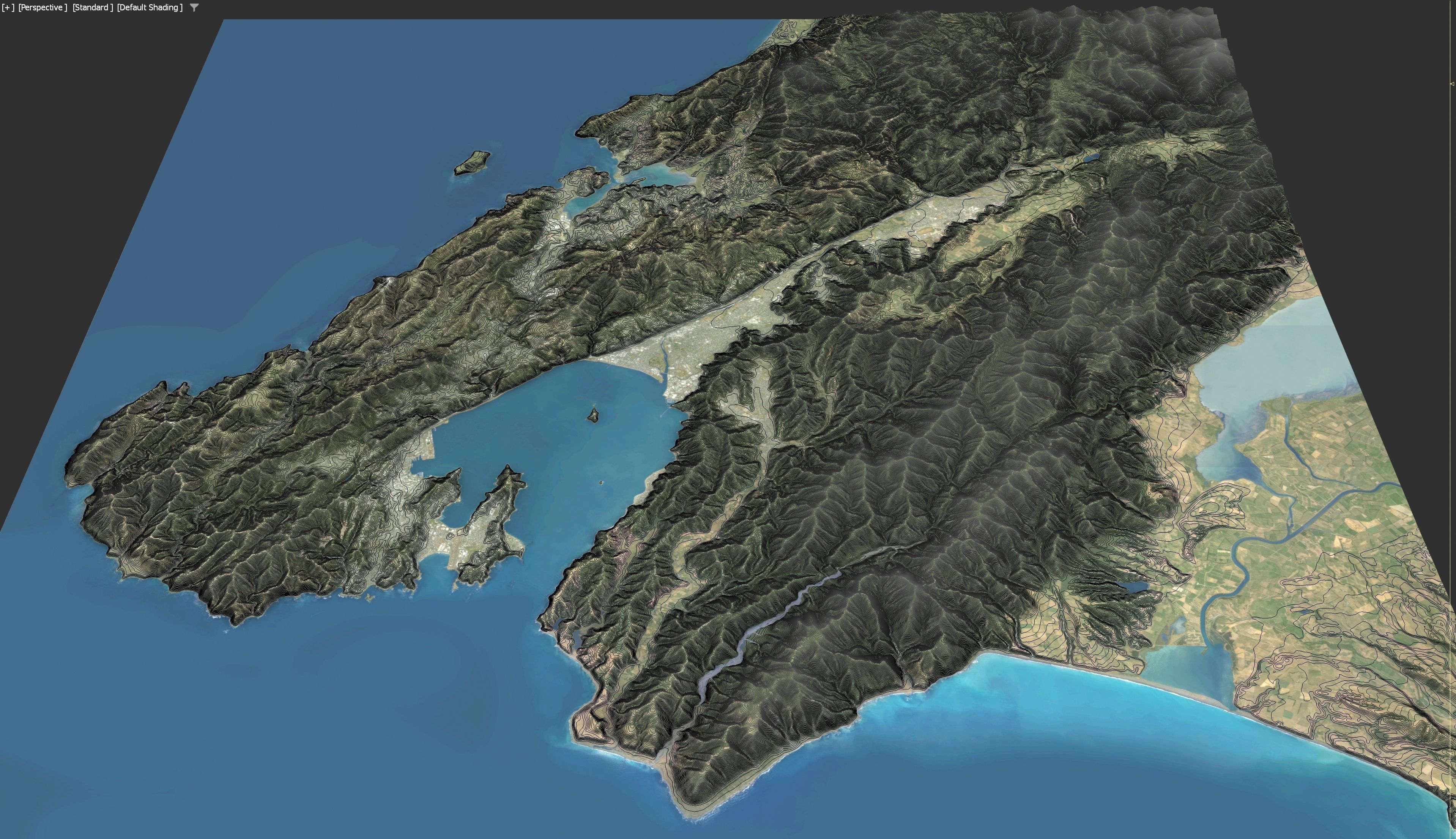 Wellington - 3D Terrain Model Low-poly 3D model_3