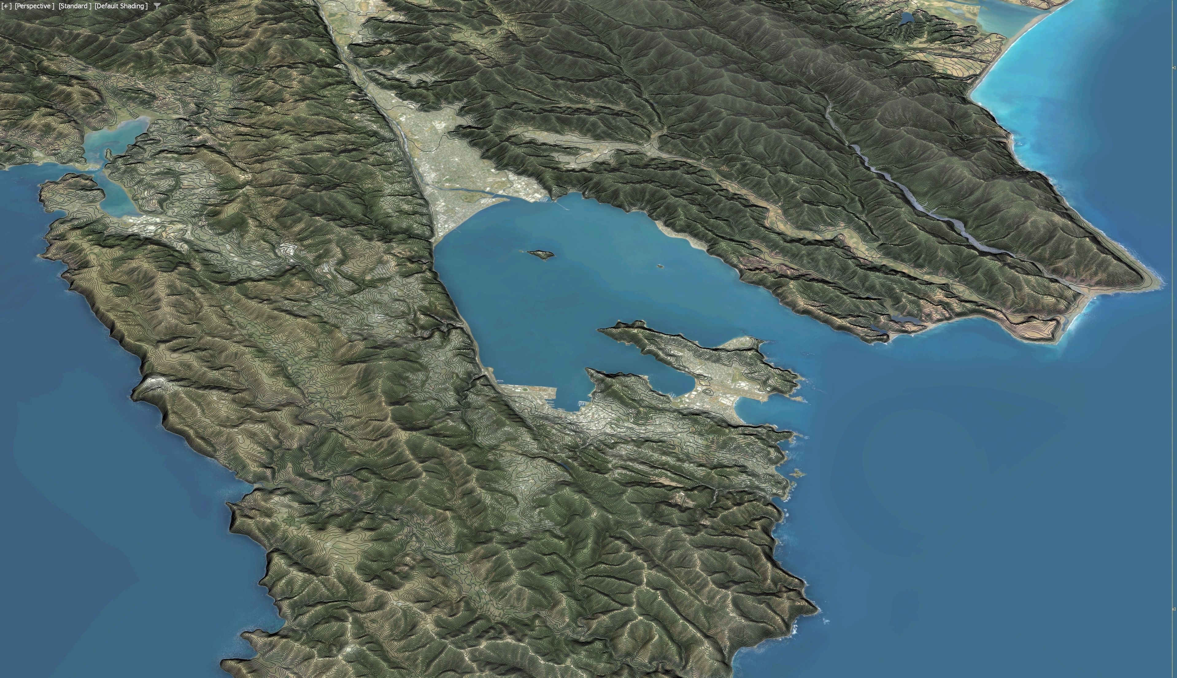 Wellington - 3D Terrain Model Low-poly 3D model_11