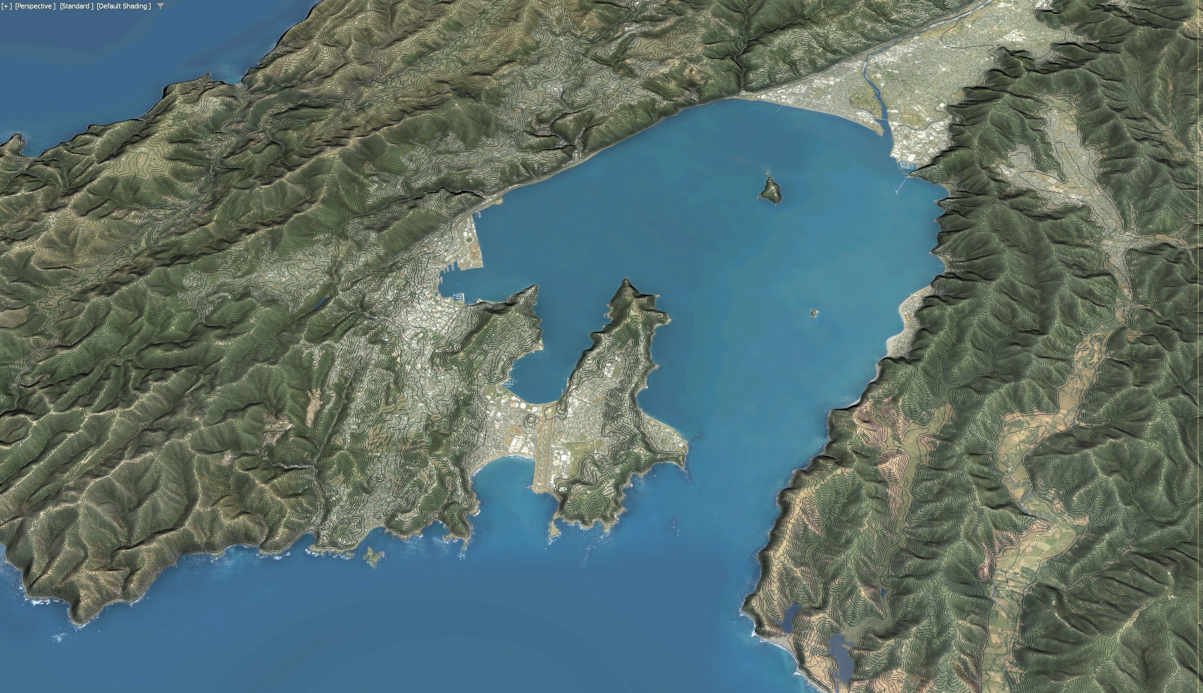 Wellington - 3D Terrain Model Low-poly 3D model_7