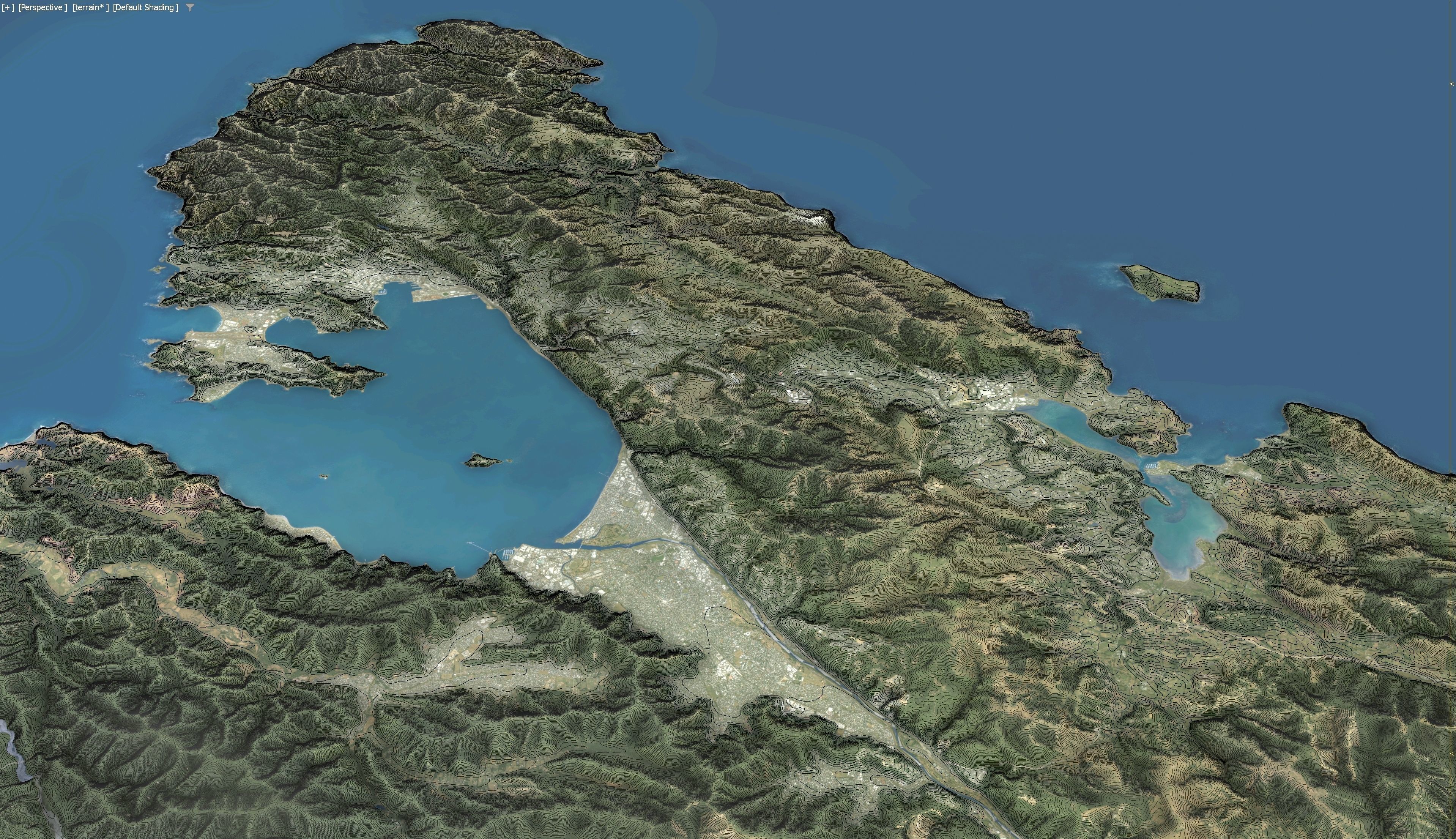 Wellington - 3D Terrain Model Low-poly 3D model_18