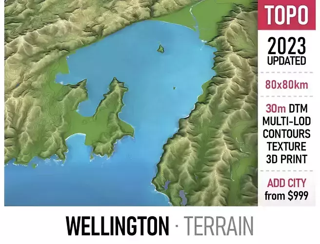 Wellington - 3D Terrain Model Low-poly 3D model