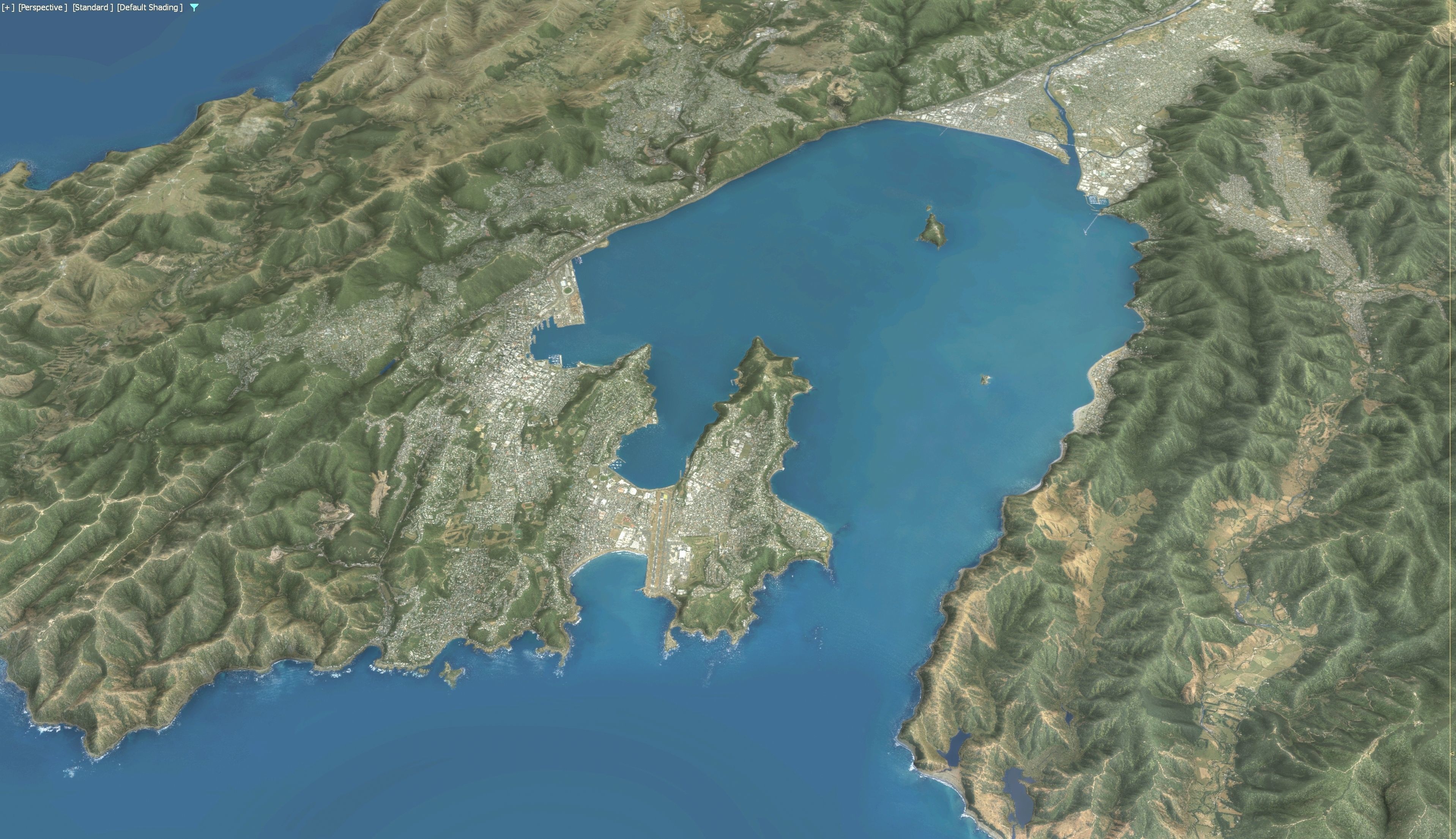 Wellington - 3D Terrain Model Low-poly 3D model_8