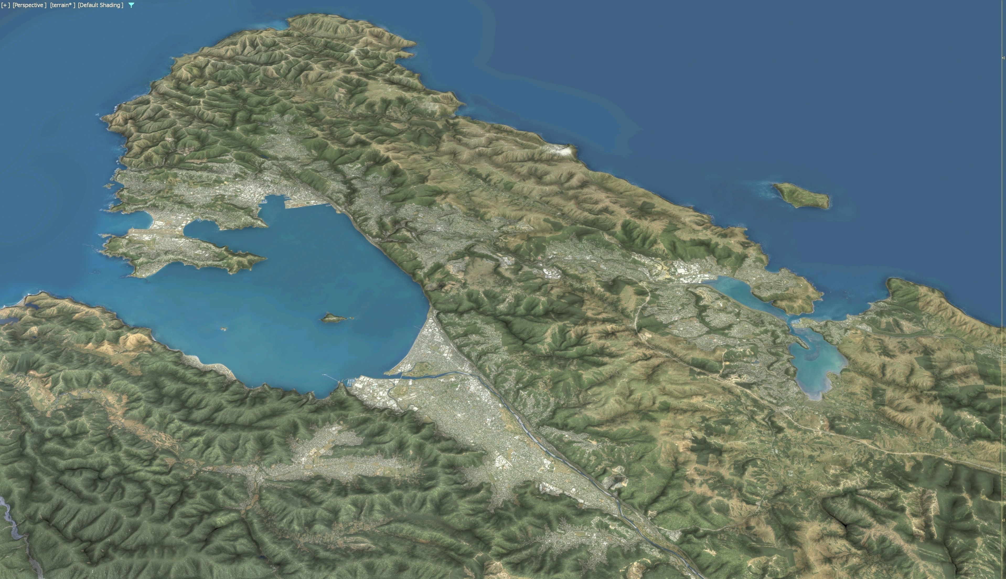 Wellington - 3D Terrain Model Low-poly 3D model_19