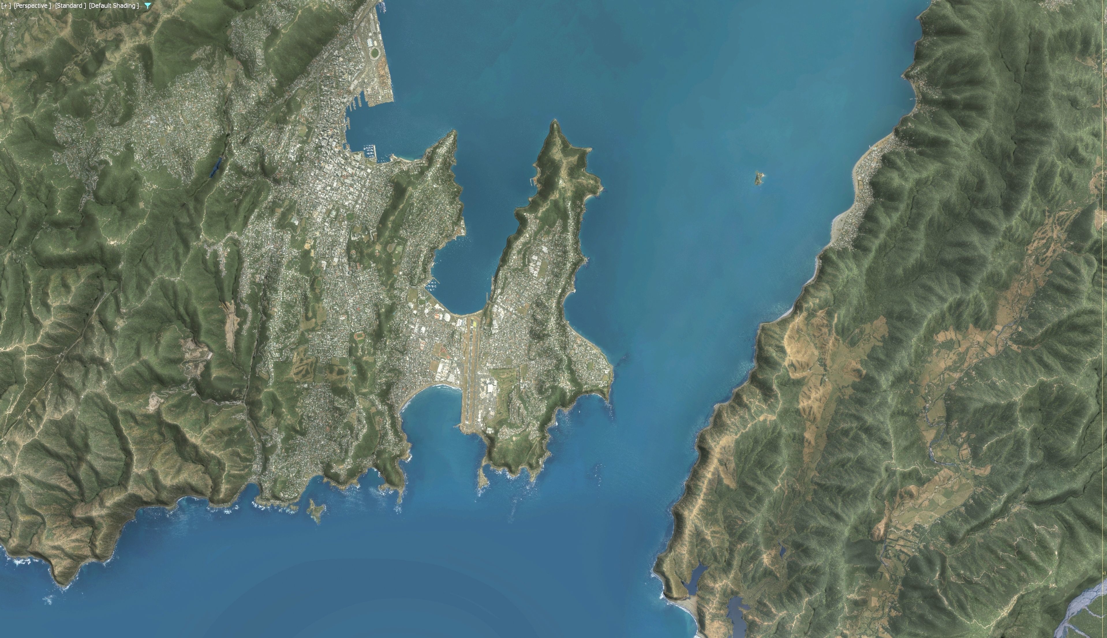 Wellington - 3D Terrain Model Low-poly 3D model_23
