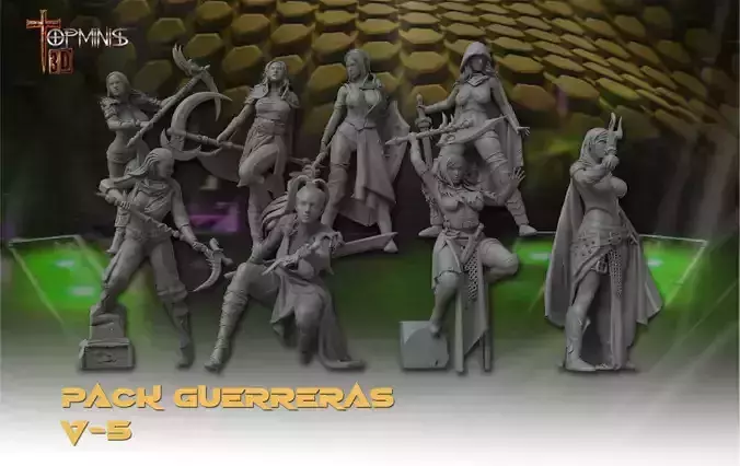 ROLE GAME WARRIORS 3D print model