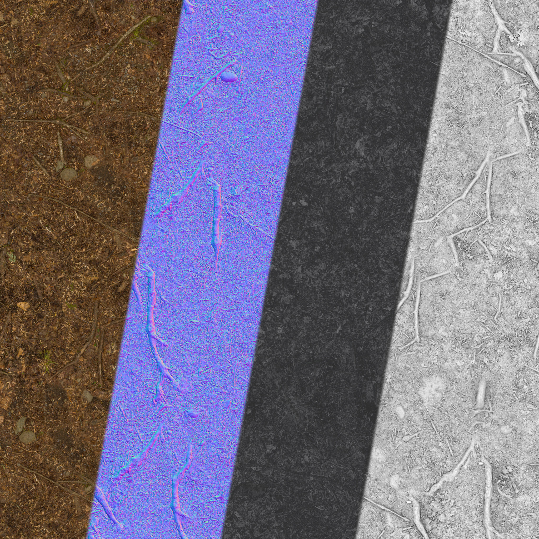 Forest Roots Ground 01 Texture_5