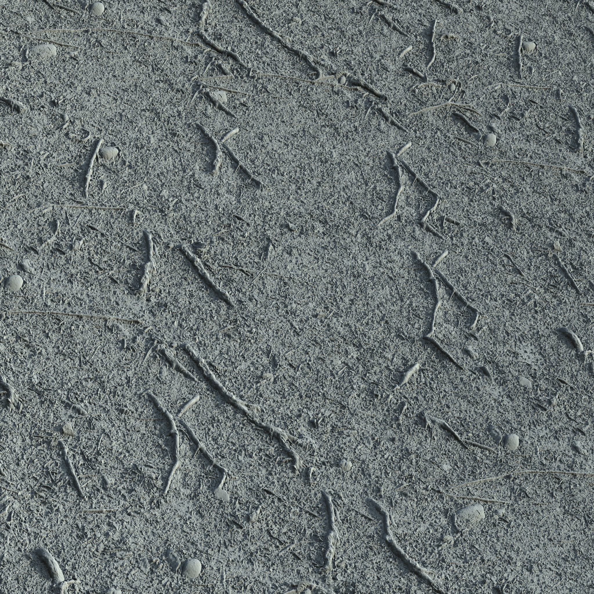 Forest Roots Ground 01 Texture_3