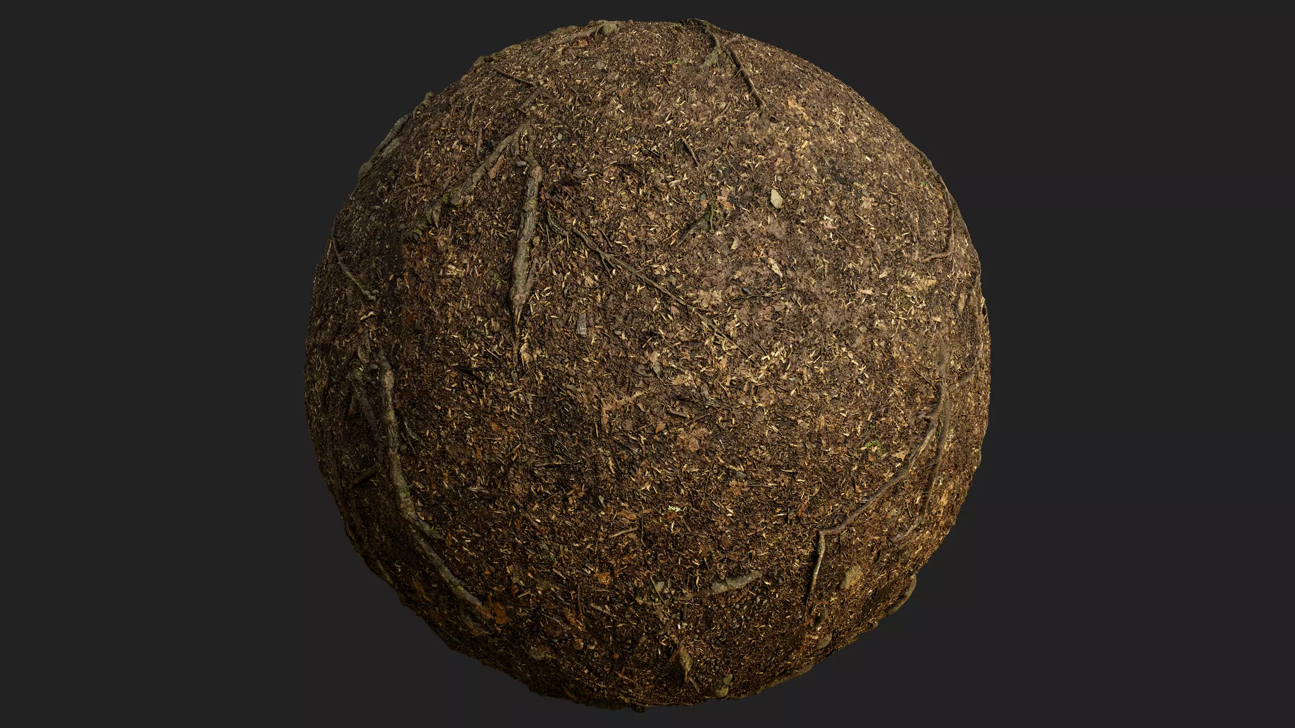 Forest Roots Ground 01 Texture_0