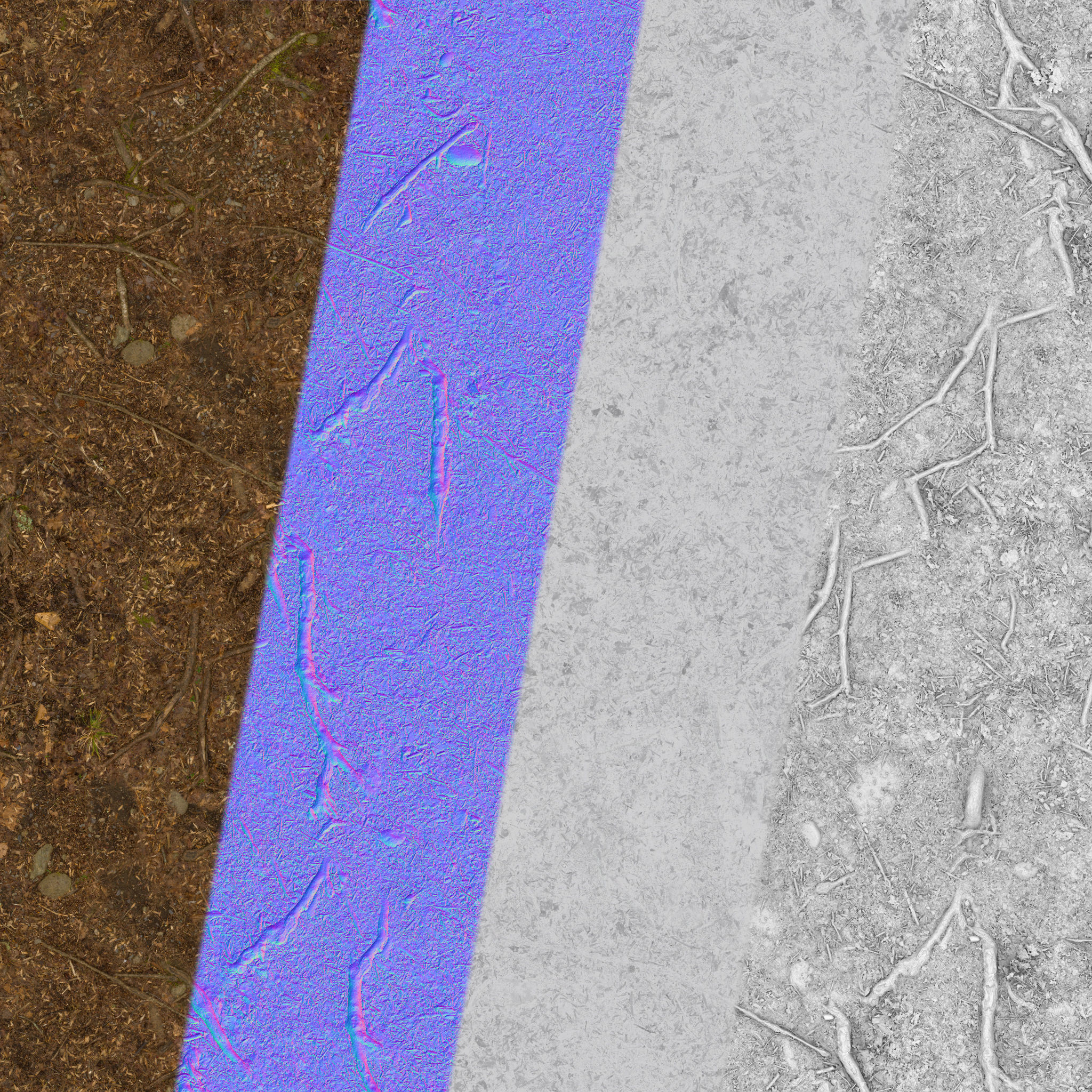 Forest Roots Ground 01 Texture_4