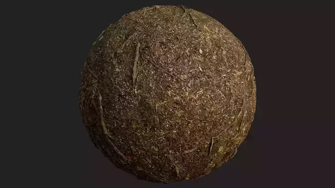Forest Roots Ground 01 - Free 4K Material Texture