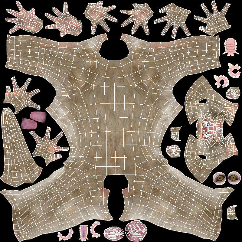 Macaque Low-poly 3D model_12
