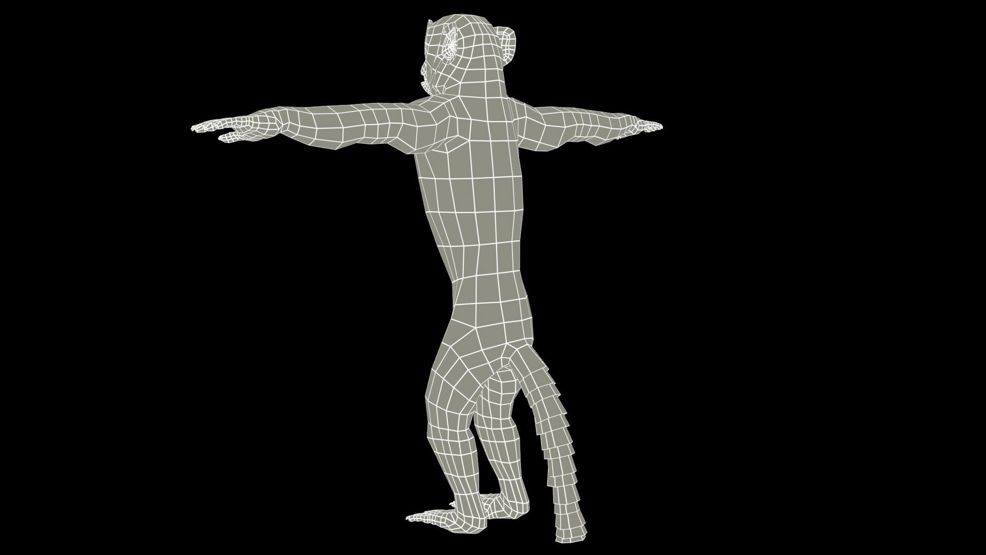Macaque Low-poly 3D model_10