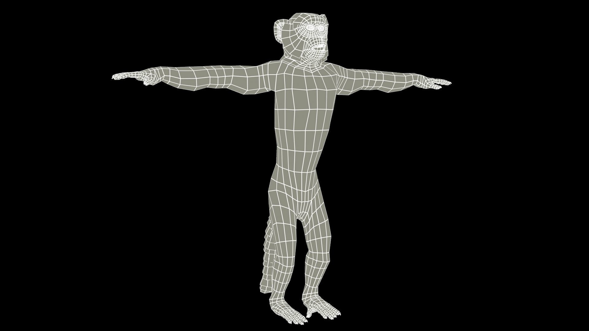 Macaque Low-poly 3D model_9