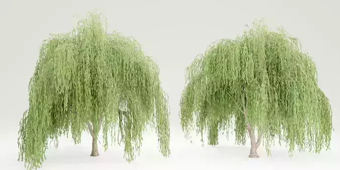 willow trees vol 7-Blender 3D model
