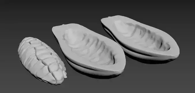 Cacao Fruit 3D STL Model for printing 3D print model