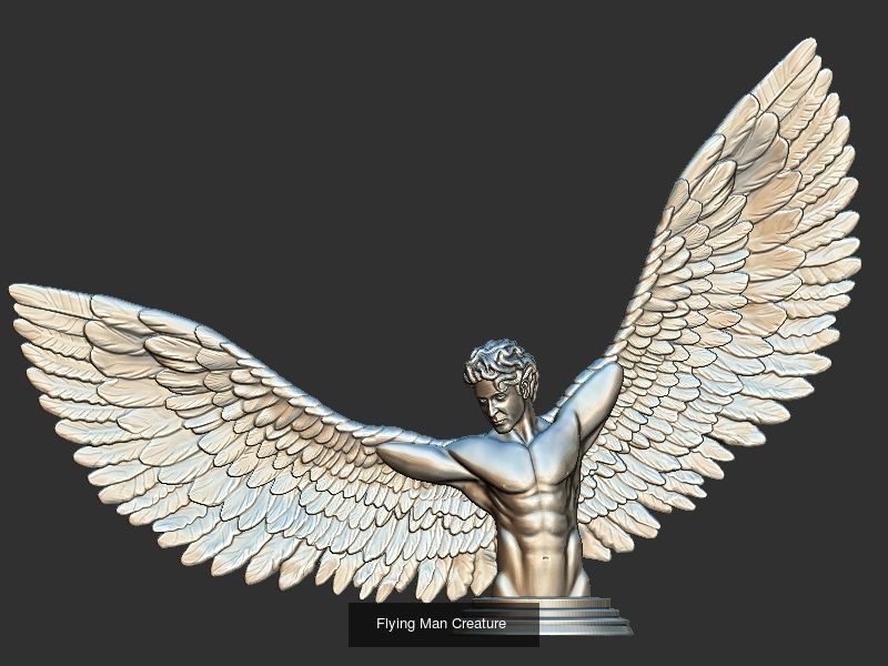 6 Models collection _1