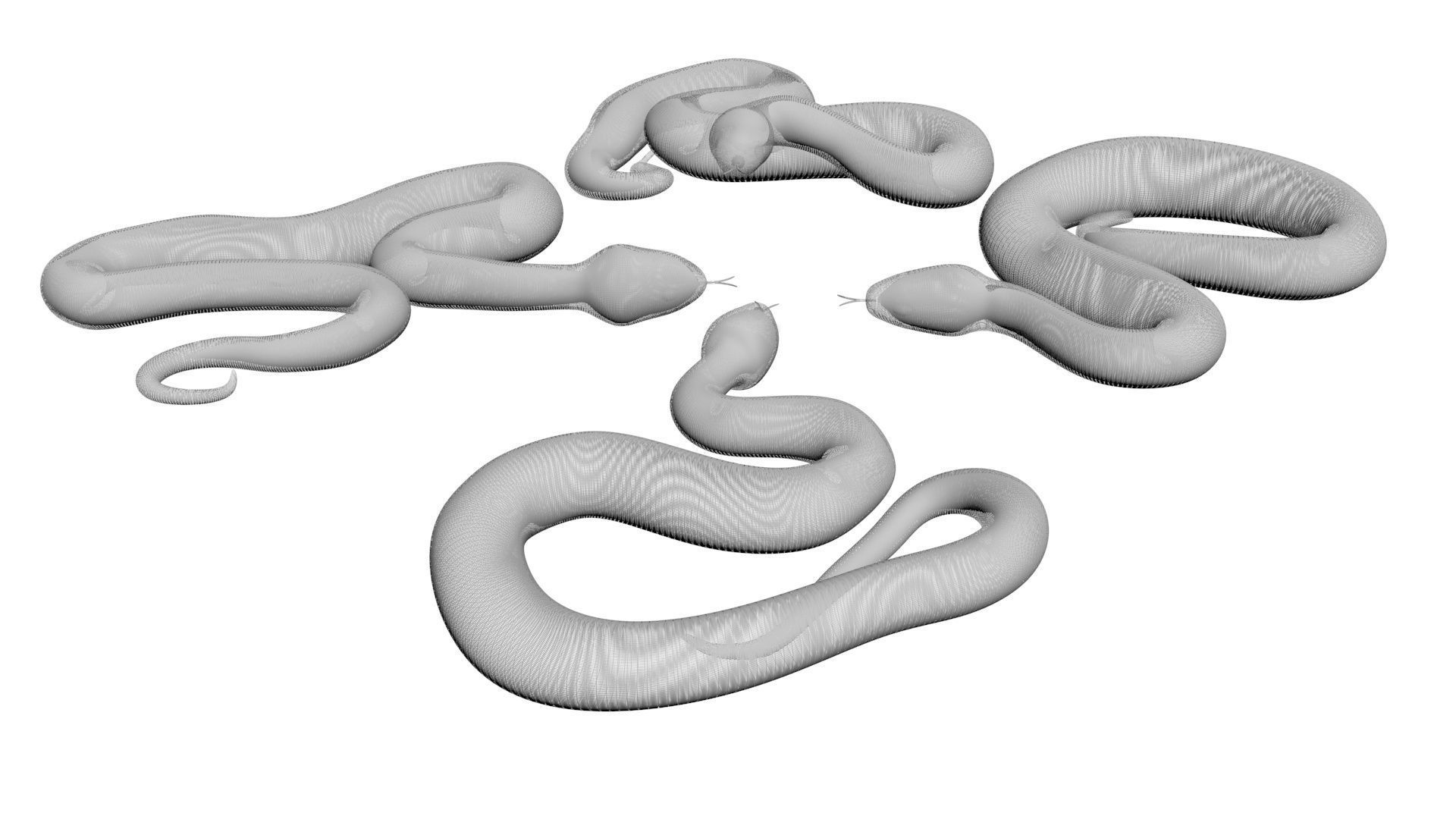 Snakes Set 3D model_18