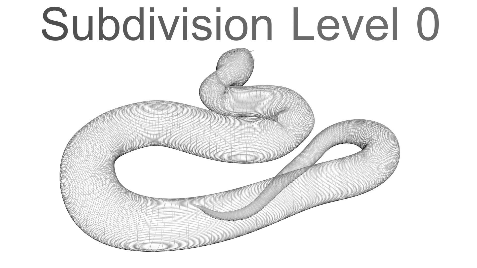 Snakes Set 3D model_29