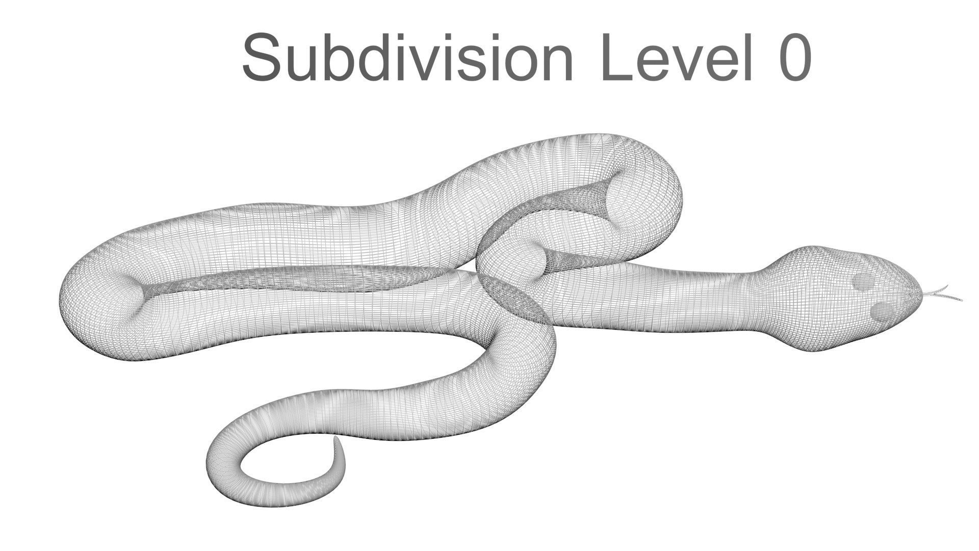 Snakes Set 3D model_25