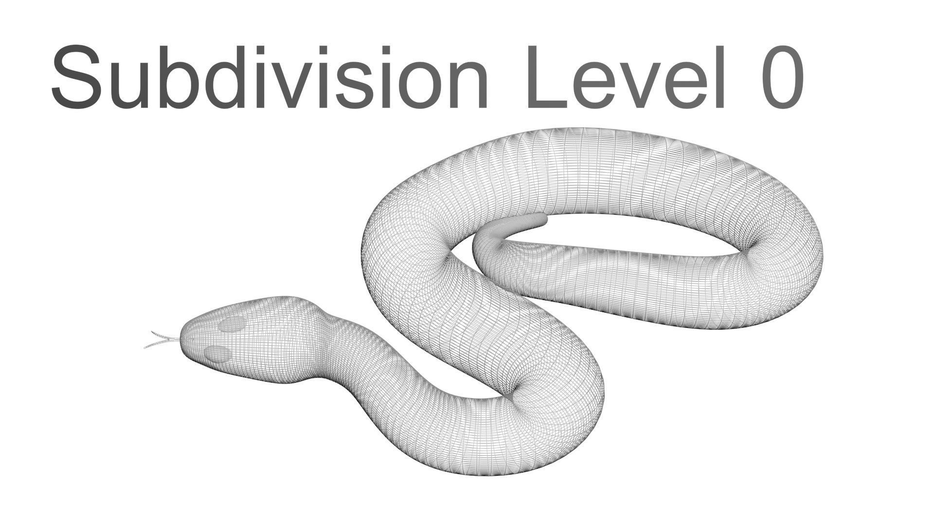 Snakes Set 3D model_31