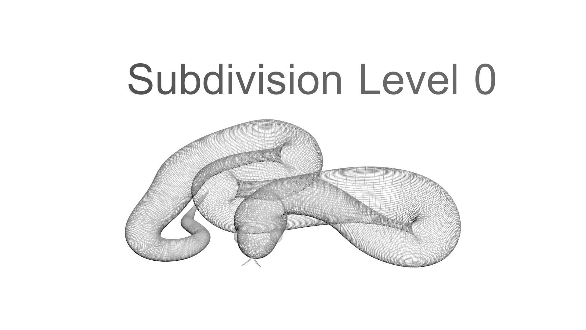 Snakes Set 3D model_27