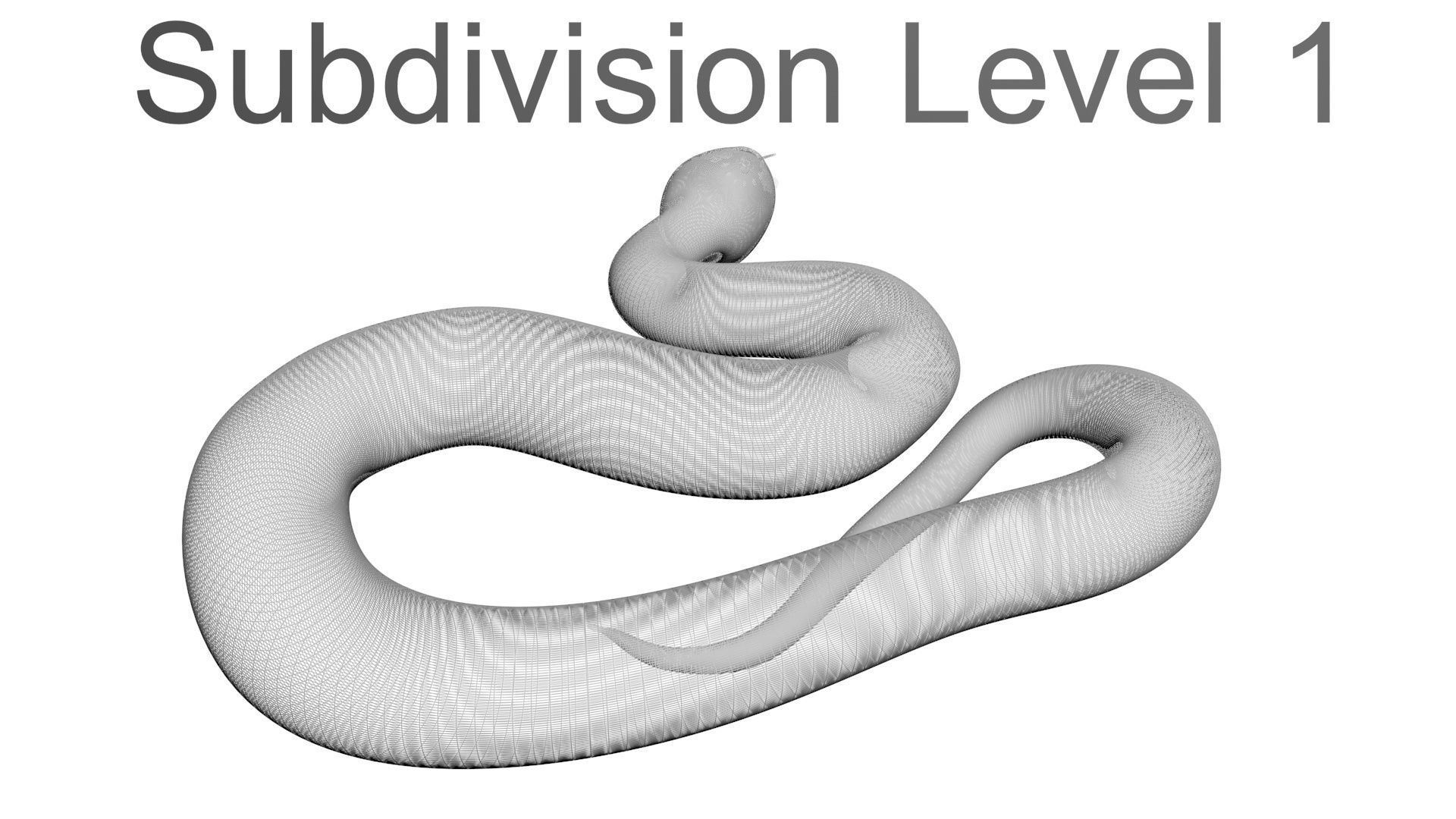 Snakes Set 3D model_28