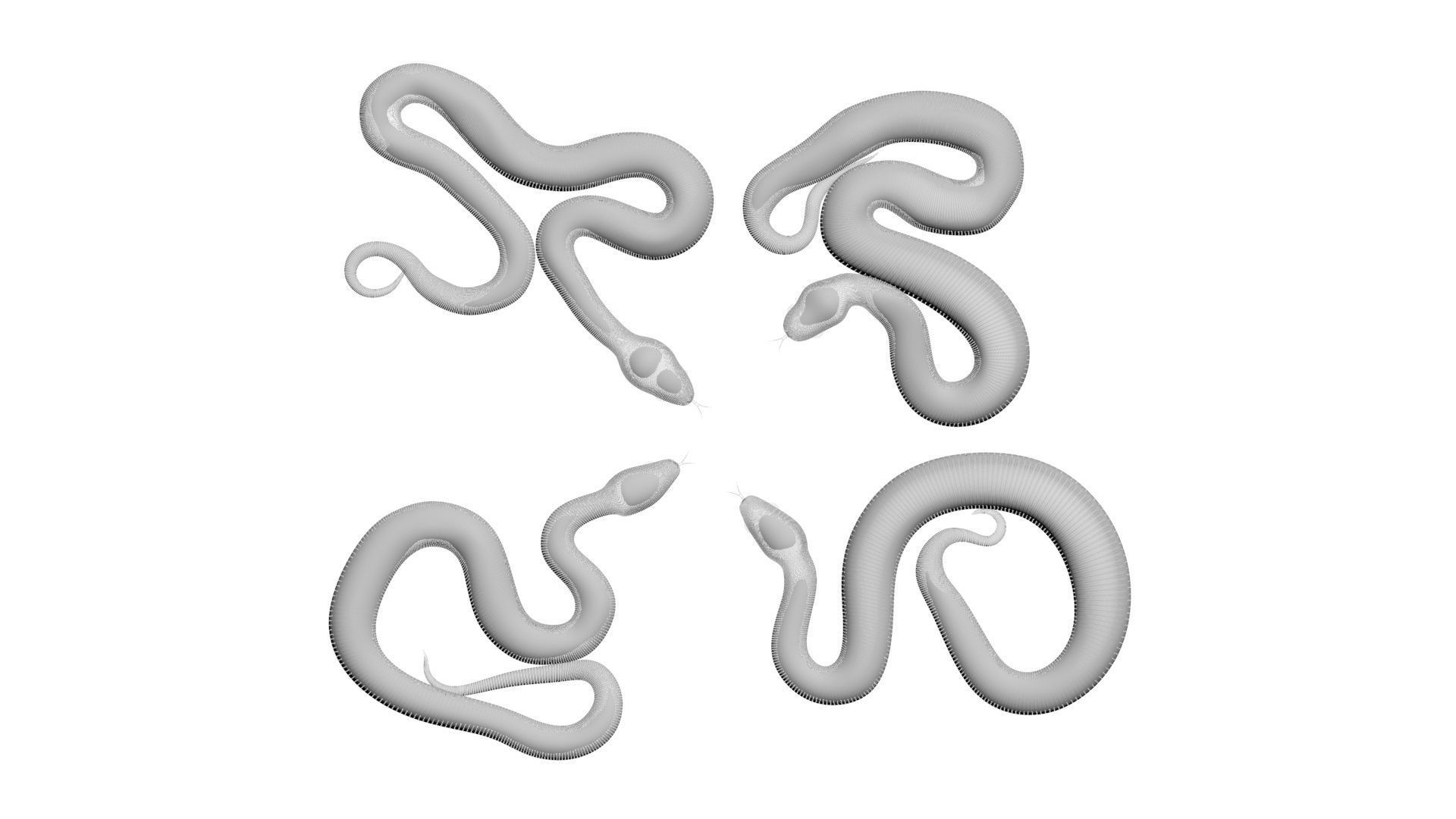 Snakes Set 3D model_23