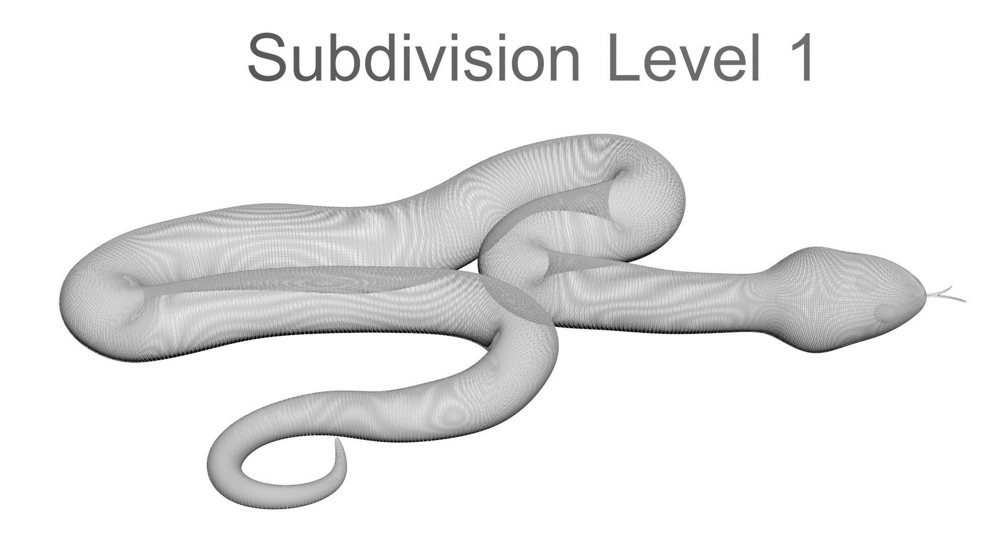 Snakes Set 3D model_24