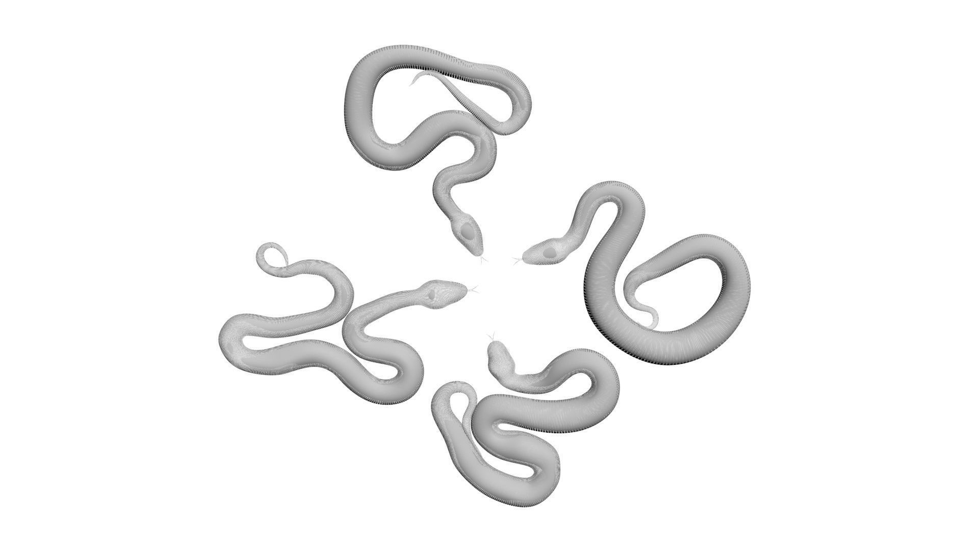 Snakes Set 3D model_22