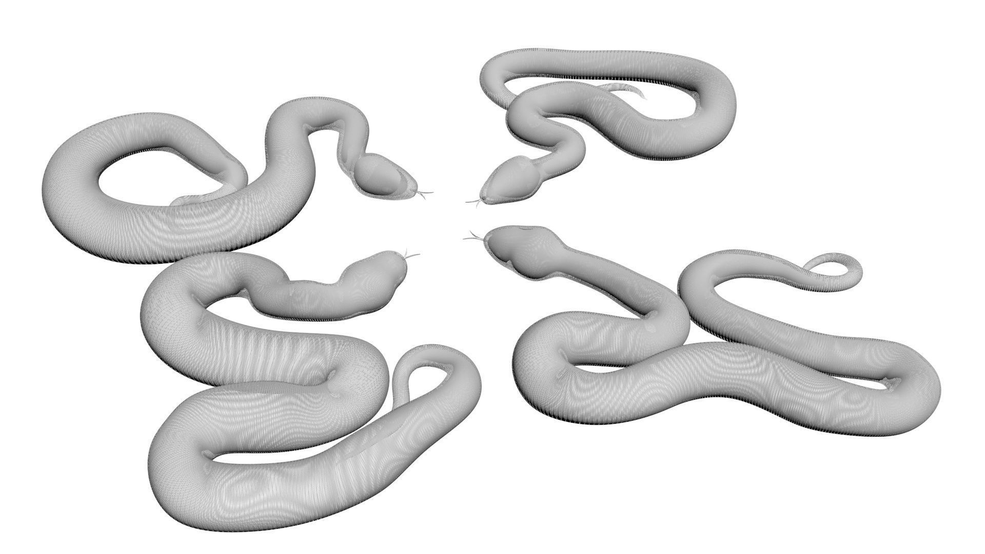 Snakes Set 3D model_20