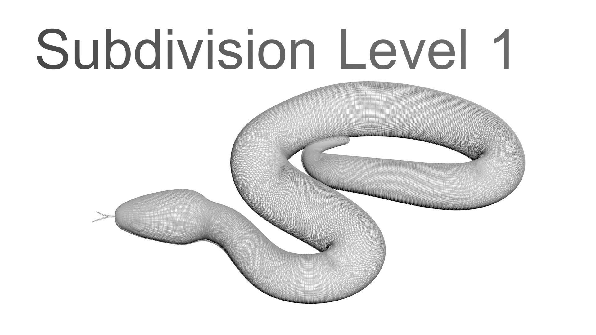 Snakes Set 3D model_30