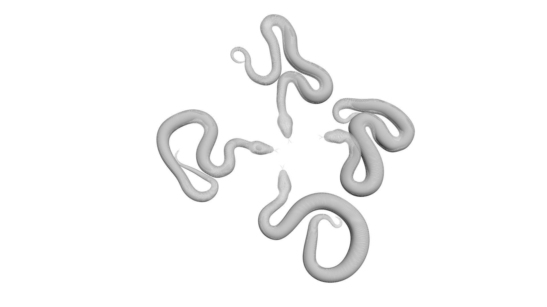Snakes Set 3D model_19