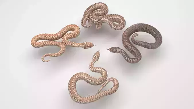 Snakes Set 3D model