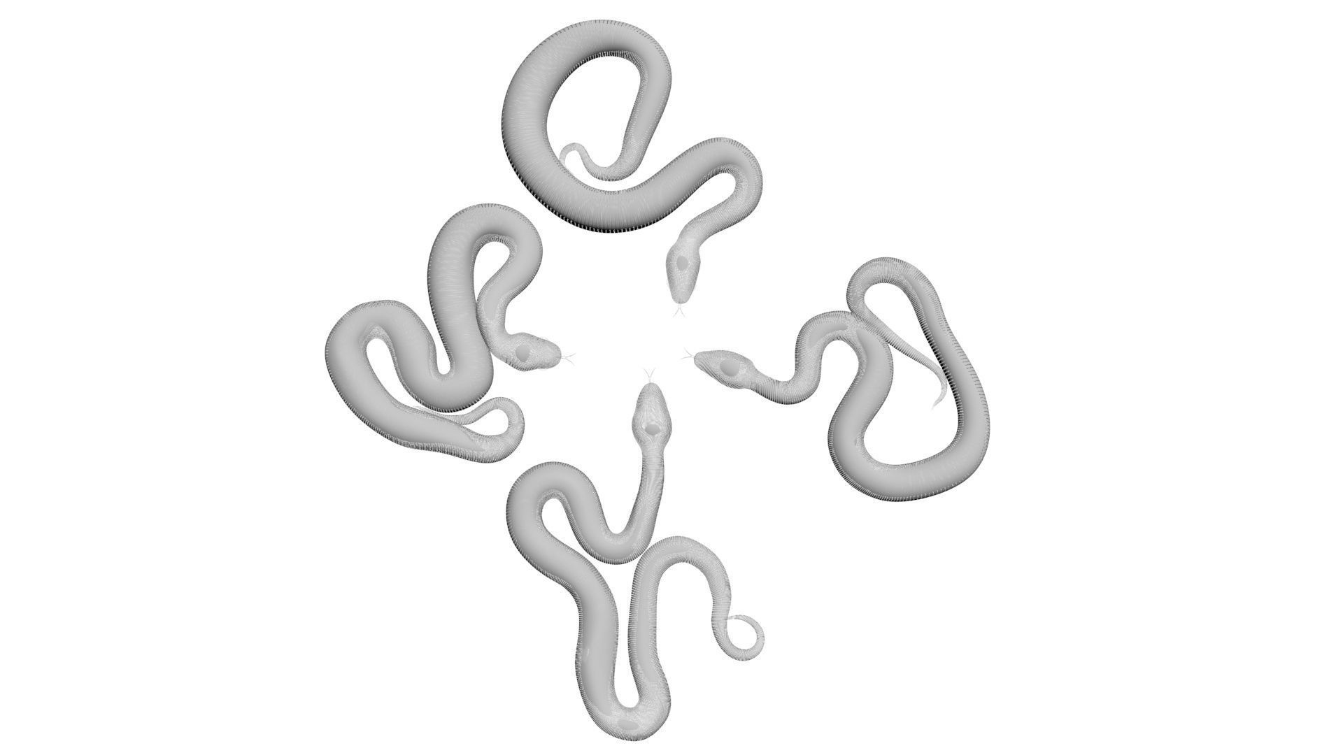 Snakes Set 3D model_21