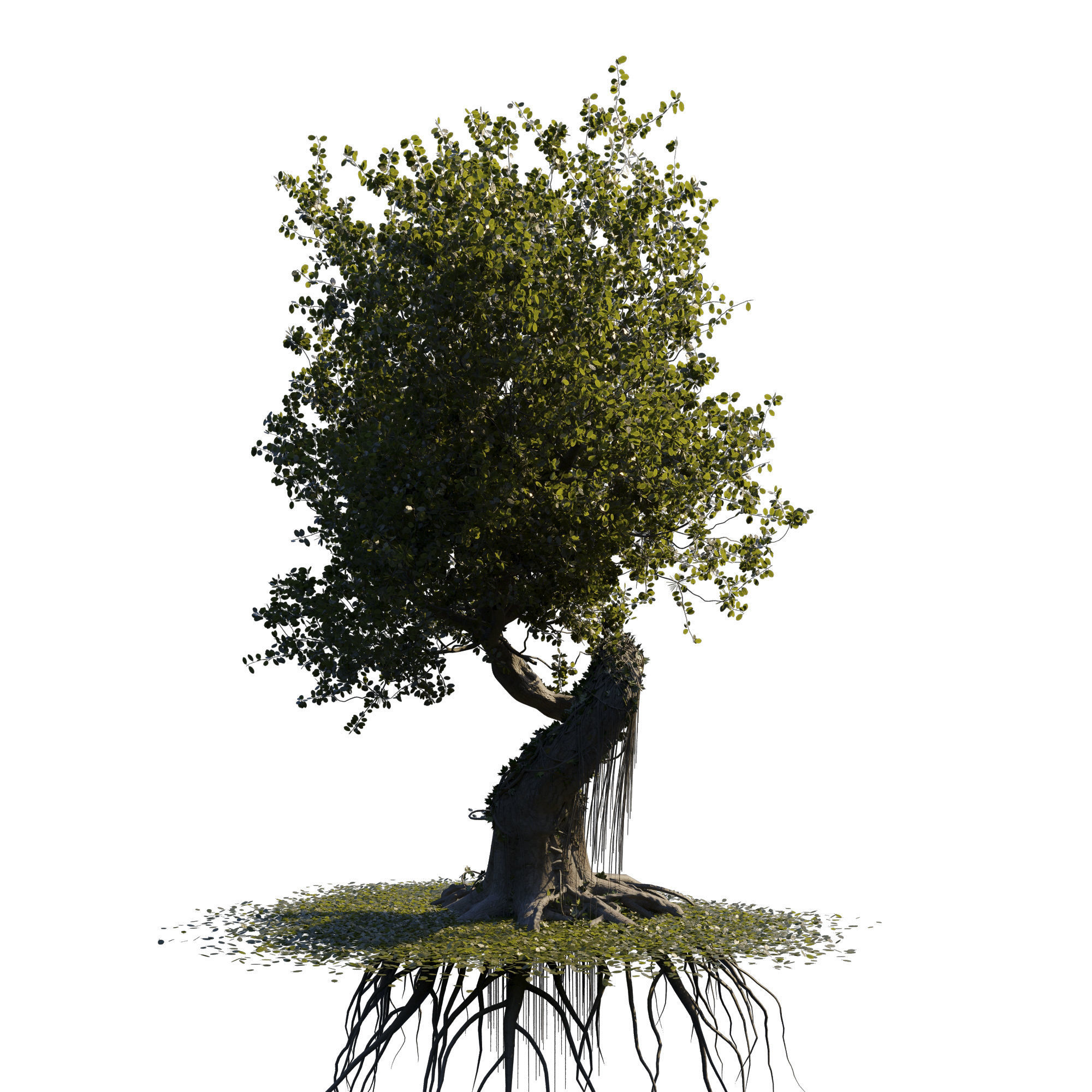 fantasy tree animated  3D model_3