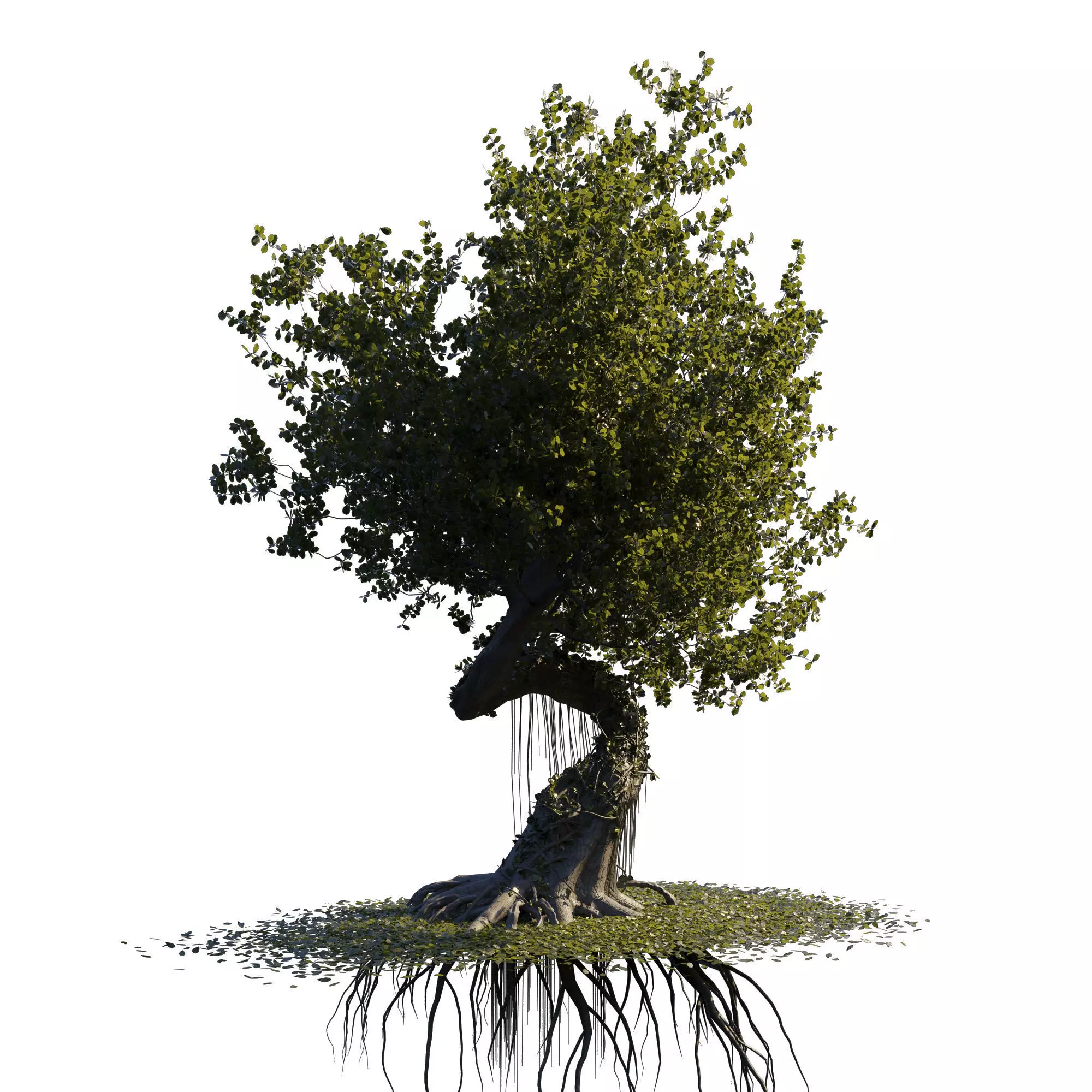 fantasy tree animated  3D model_0