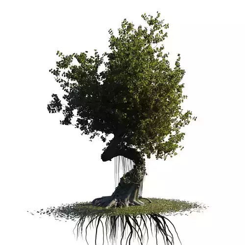 fantasy tree animated 