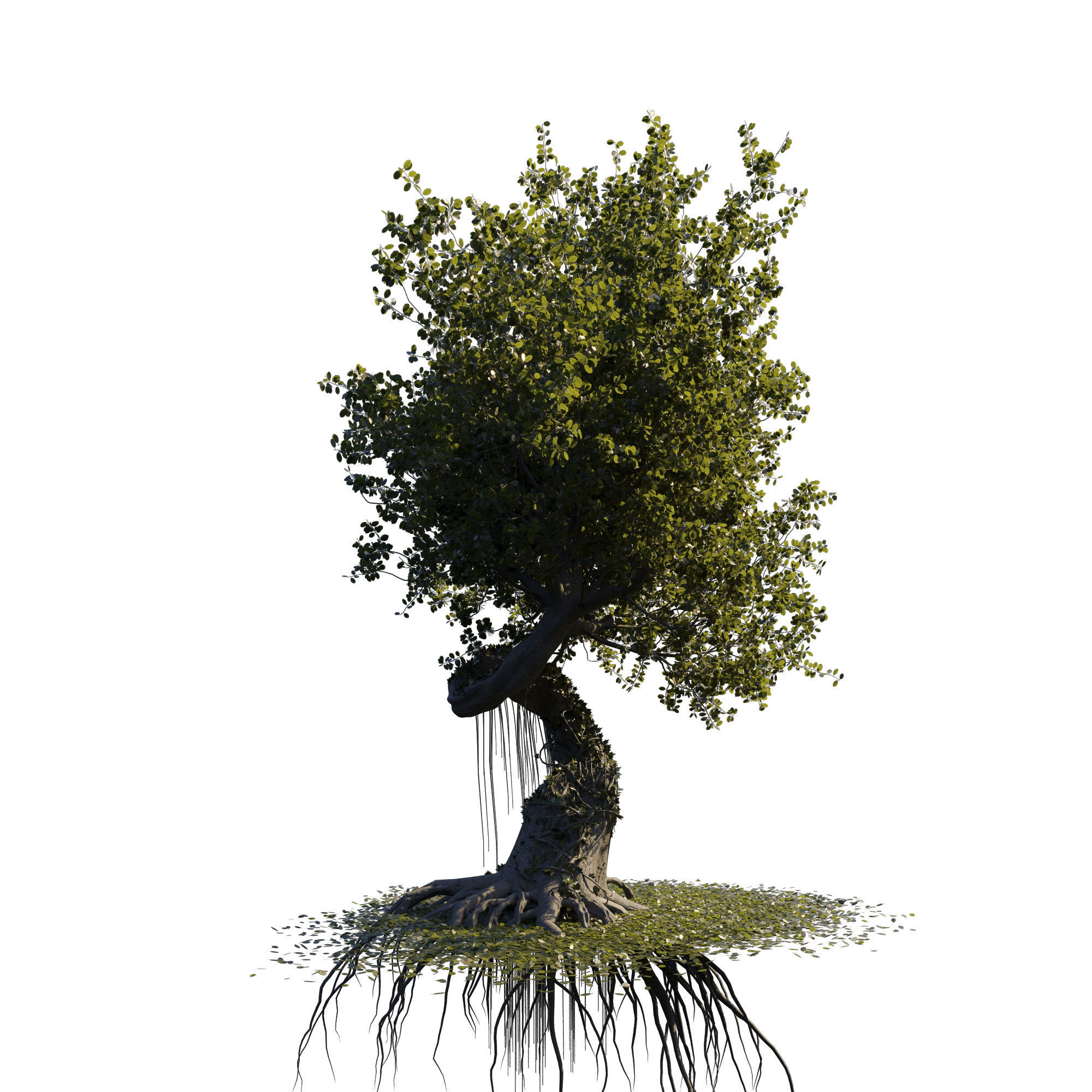 fantasy tree animated  3D model_2