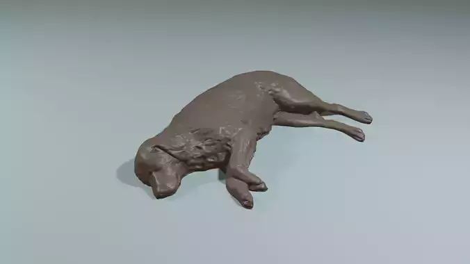 Realistic sleeping dog Golden Retriver for printing  3D print model